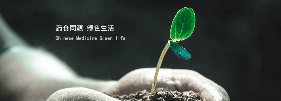 吉林尊龙凯时药业